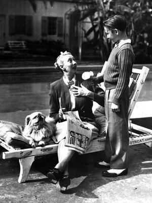 The Charlotte Greenwood Show Old Time Radio Shows OTR MP3 On CD 64 Episodes - OTR World